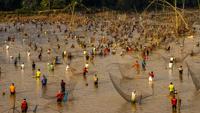 traditional fishing festival in bangladesh